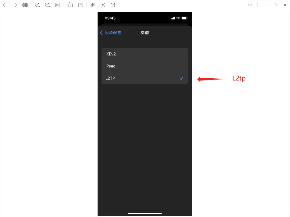 选择 L2TP 类型