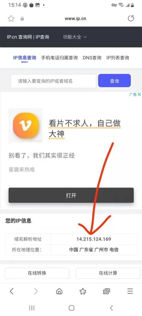 查询本机出口 IP 验证代理生效